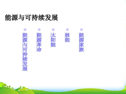 新人教版九年级物理下册第22章同步教学课件 22.4能源与可持续发展(共18张PPT)