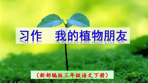 《习作 我的植物朋友》PPT课件