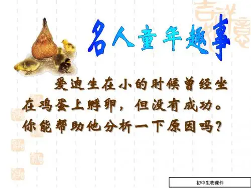 初中八年级(初二)生物 鸟的生殖和发育课件_八年级生物课件