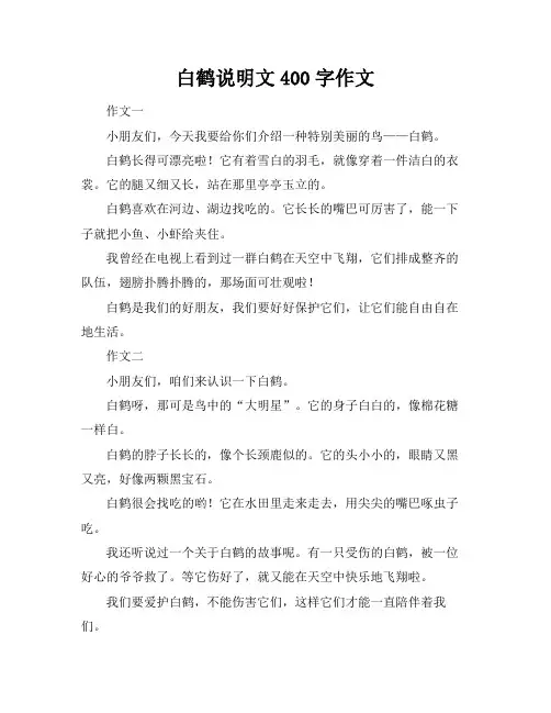 白鹤说明文400字作文