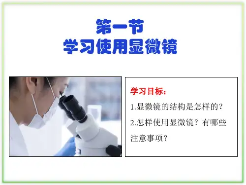 (人教版2024)七年级生物上册1.2.1《学习使用显微镜》课件
