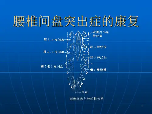 腰椎间盘突出症的康复ppt课件