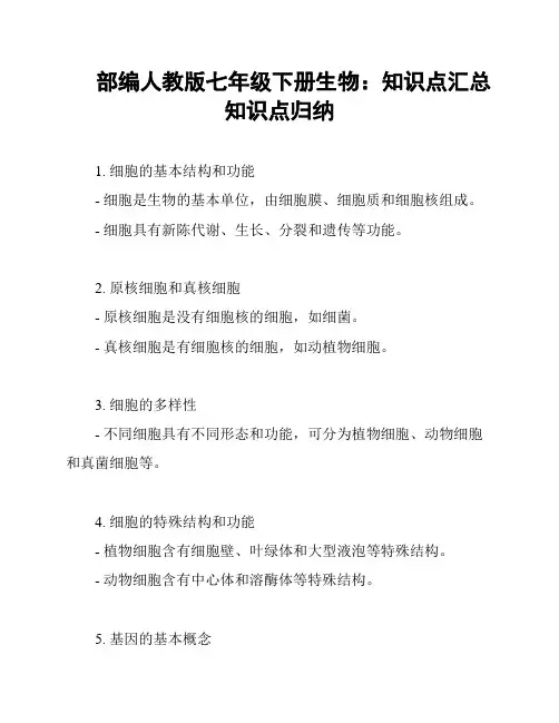 部编人教版七年级下册生物：知识点汇总知识点归纳