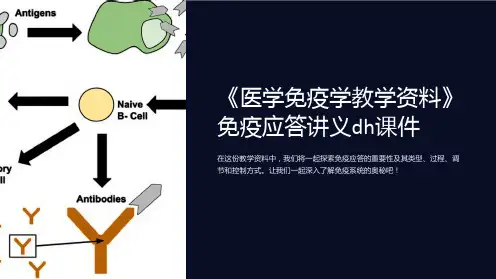 《医学免疫学教学资料》免疫应答讲义dh课件