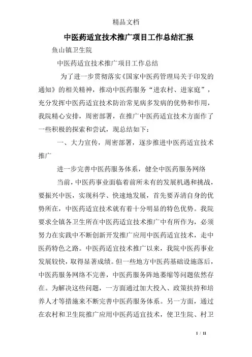 中医药适宜技术推广项目工作总结汇报