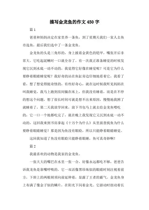 描写金龙鱼的作文450字