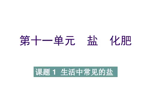 11.1 生活中常见的盐-人教版九年级下册化学课件(共39张PPT)