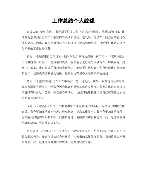 工作总结个人综述