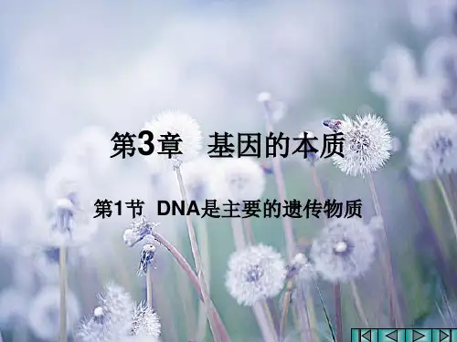 dna是主要的遗传物质中小学PPT教学课件