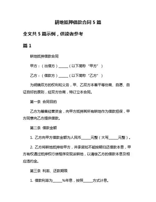 耕地抵押借款合同5篇