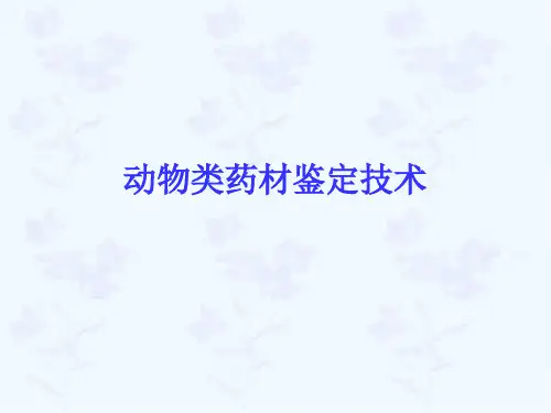 动物类中药鉴定技术(精)