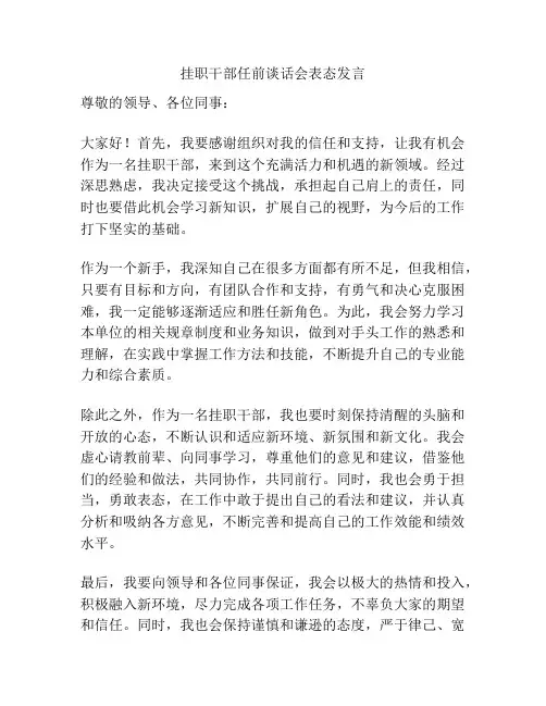 挂职干部任前谈话会表态发言