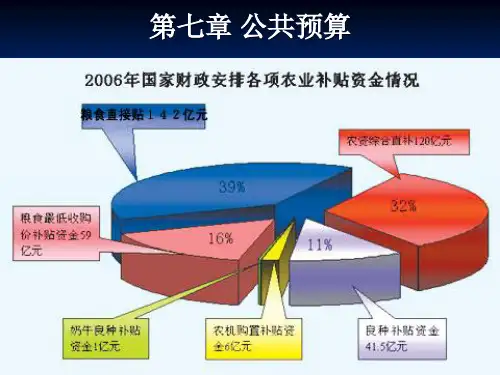 公共预算概述(PPT43页)