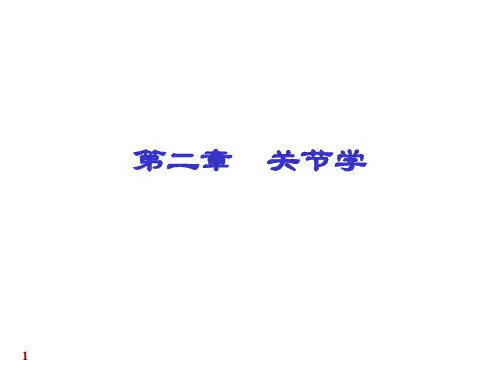 关节学(专)PPT课件