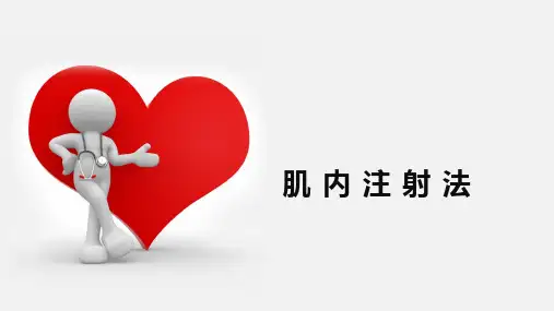 肌内注射法-臀大肌
