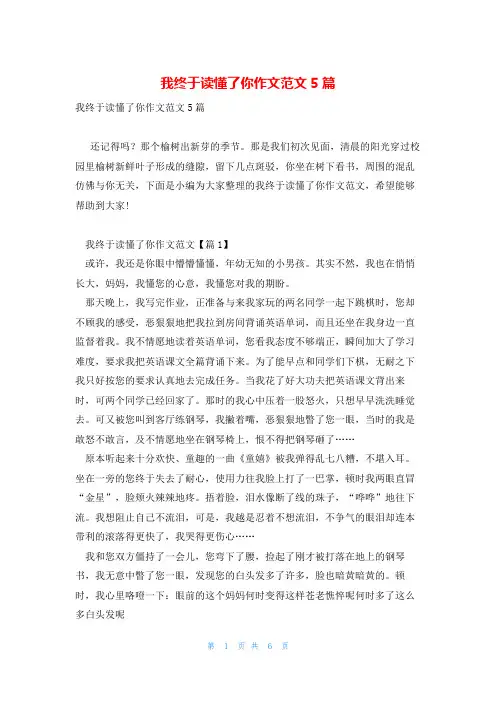我终于读懂了你作文范文5篇