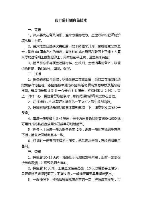 甜叶菊扦插育苗技术