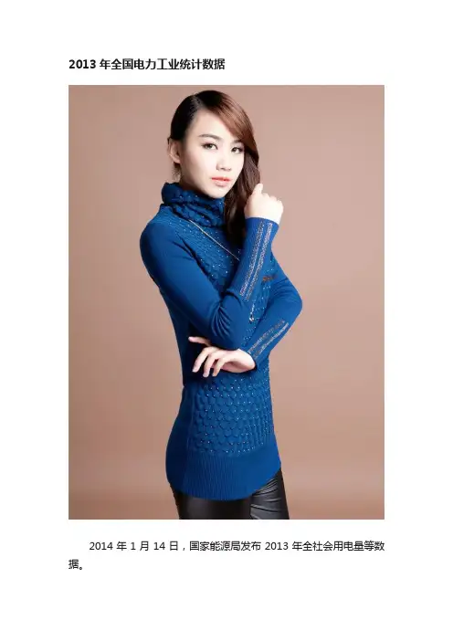 2013年全国电力工业统计数据