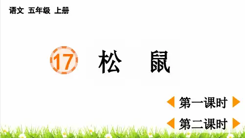人教版五年级语文上册第五单元第17课《松鼠》课件