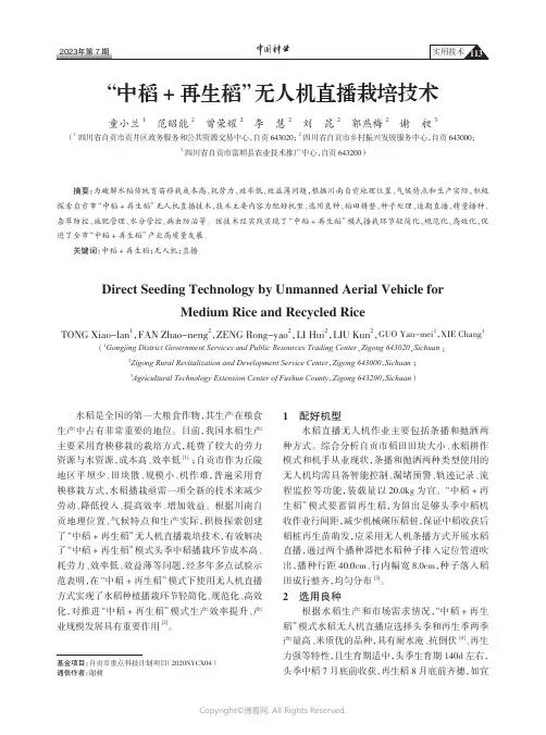 “中稻+_再生稻”无人机直播栽培技术