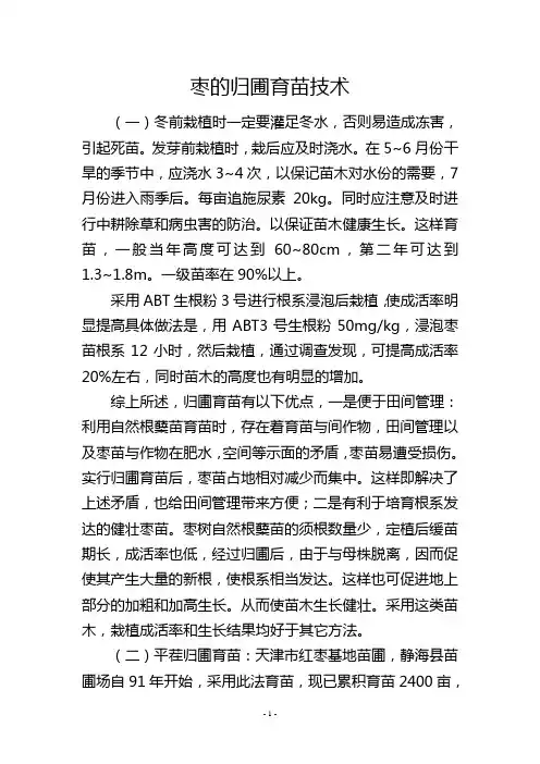 枣的归圃育苗技术