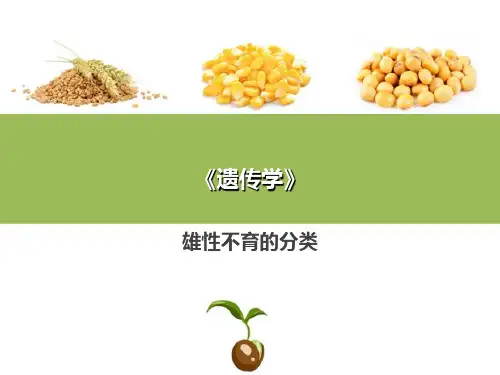 细胞质遗传—植物雄性不育(普通遗传学课件)