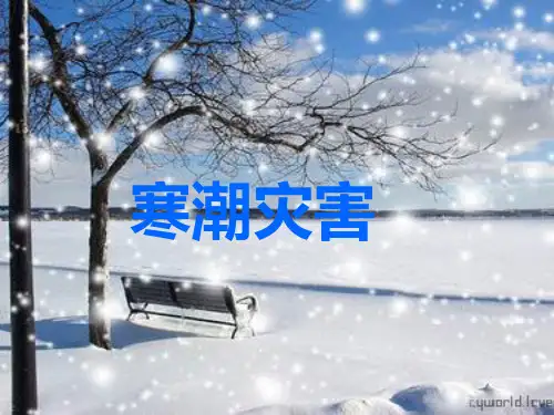 中国的气象灾害—寒潮 PPT课件