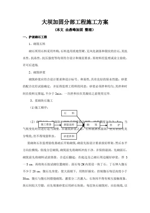 大坝加固工程施工方案