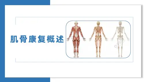 认识肌肉骨骼康复治疗 肌肉骨骼康复概述