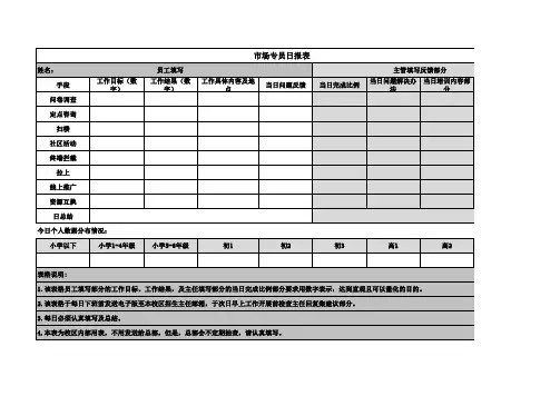 市场专员日报表