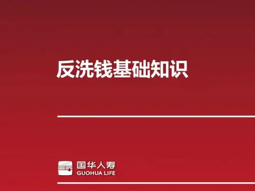 保险公司反洗钱基础知识