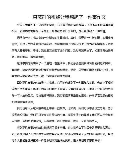 一只离群的蜜蜂让我想起了一件事作文