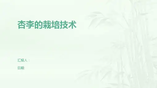 杏李的栽培技术