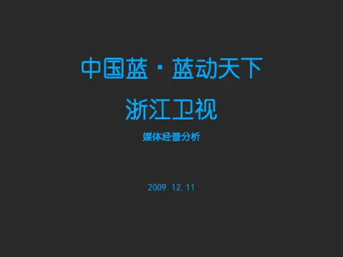 浙江卫视 市场营销最终版