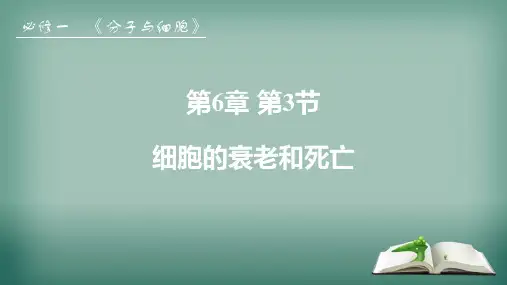 细胞的衰老和死亡