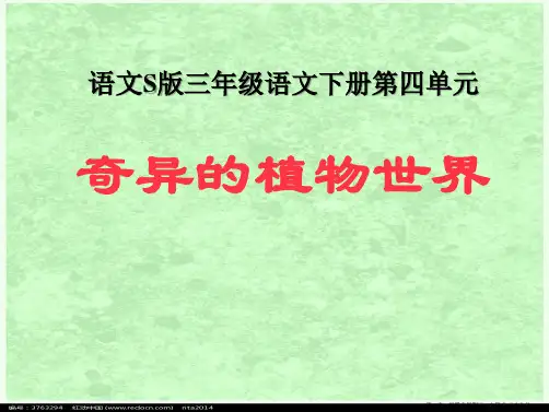 2022语文S版语文三下《奇异的植物世界》ppt课件4