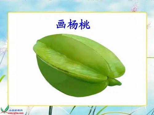 三年级下册语文《画杨桃》