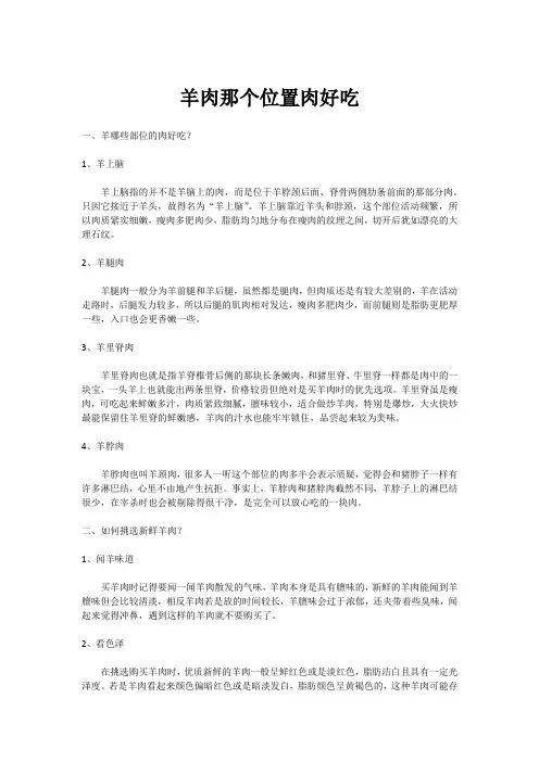 羊肉那个位置肉好吃
