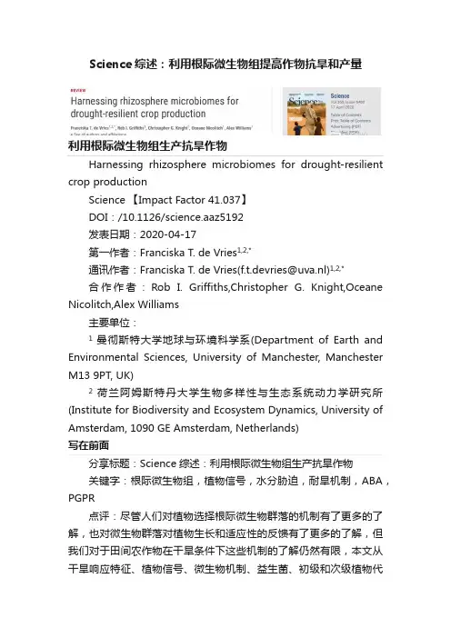 Science综述：利用根际微生物组提高作物抗旱和产量