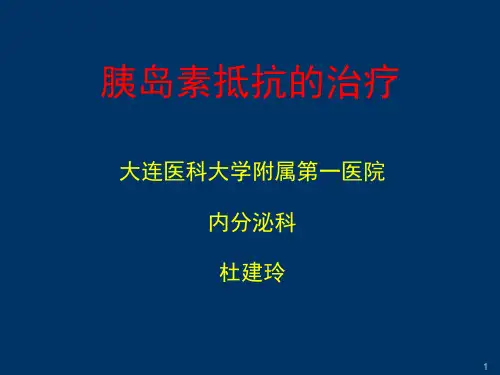 胰岛素抵抗的治疗