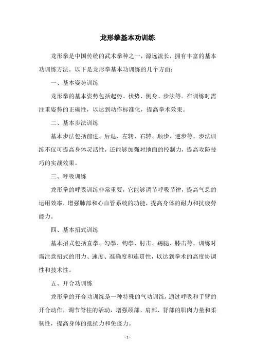 龙形拳基本功训练