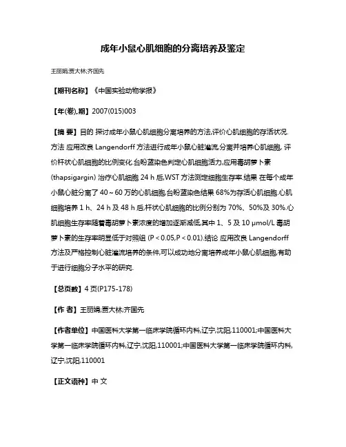 成年小鼠心肌细胞的分离培养及鉴定