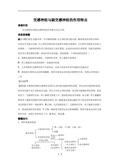 高中生物 2023届高三生物一轮复习易错点讲义交感神经与副交感神经的作用特点 
