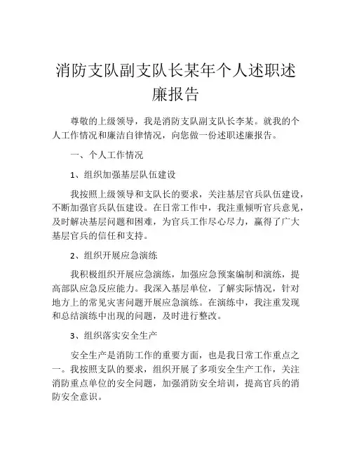 消防支队副支队长某年个人述职述廉报告