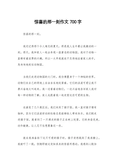 惊喜的那一刻作文700字