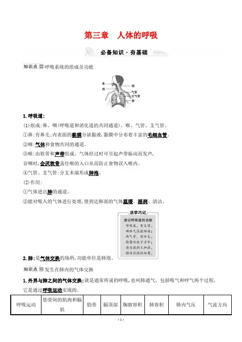最新人教版中考生物同步知识点复习第四单元  第三章人体的呼吸