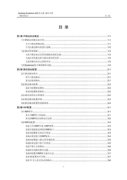 10-操作手册-路由协议