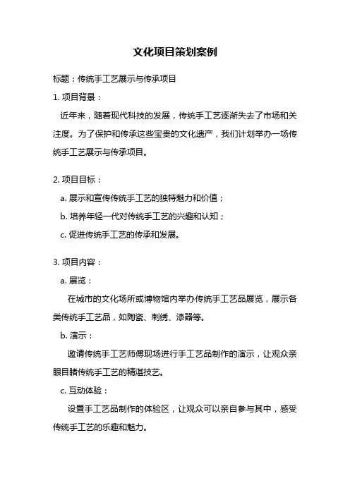 文化项目策划案例