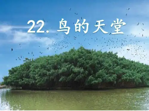 22.《鸟的天堂》课件(共14张PPT)