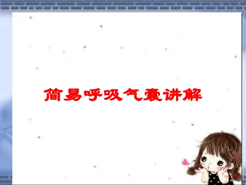 简易呼吸气囊讲解培训课件